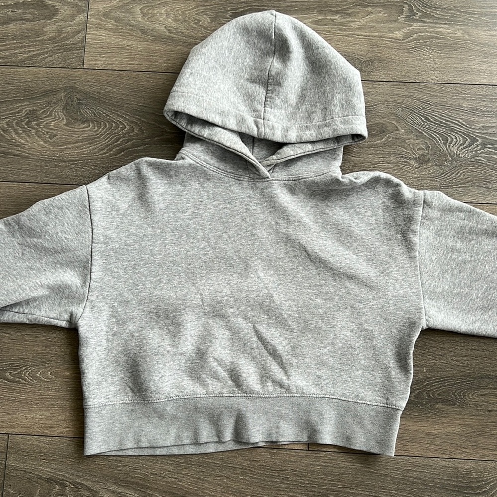Zara Basic Cropped Hoodie
